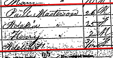 1860 Census MASSISON Albany-NY